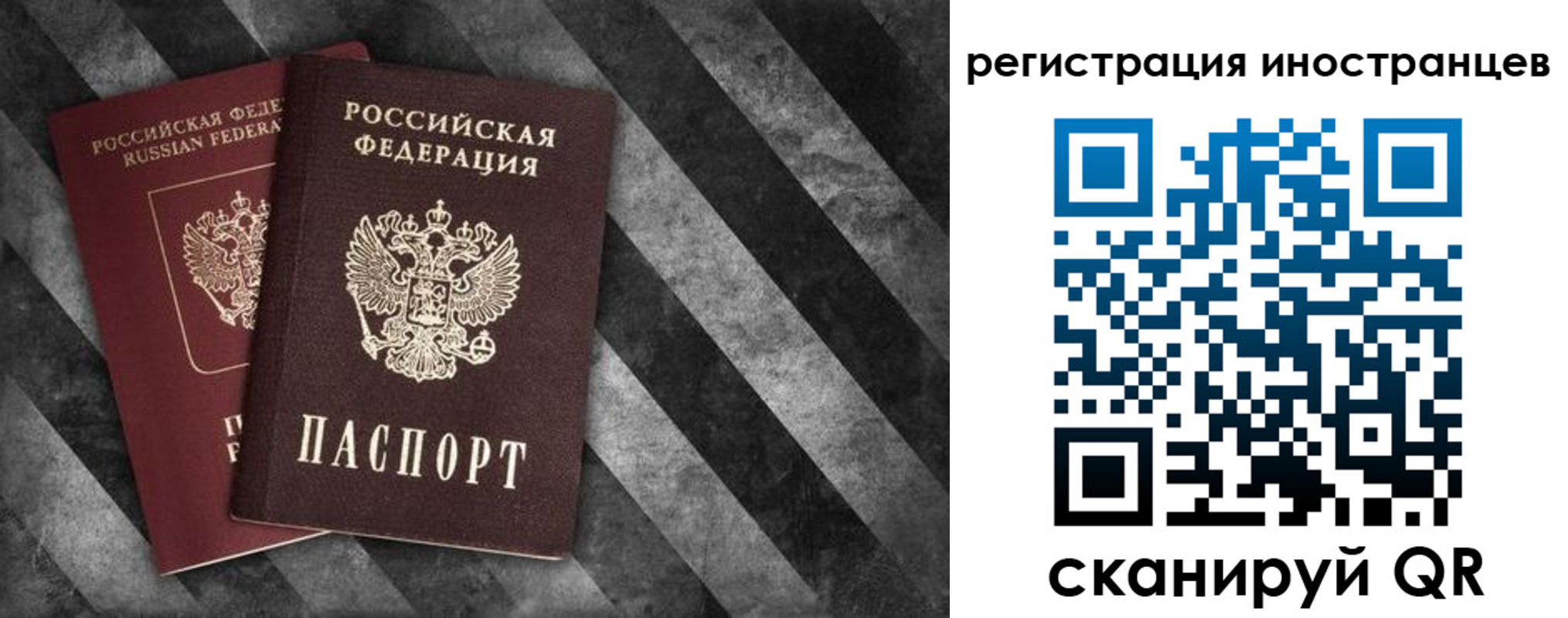 прописка для школы в Московской области